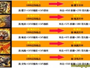 攻城掠地灵龟套装获取攻略：揭秘全方位获取途径与策略技巧