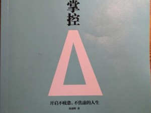 公的之手中字 5：这款产品让你体验前所未有的掌控感