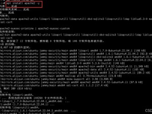 免费Lubuntu网页版入口，轻量级Linux操作系统，流畅易用