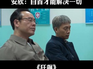 狂飙全员遭遇挫折：揭秘事件真相与影响全面解析