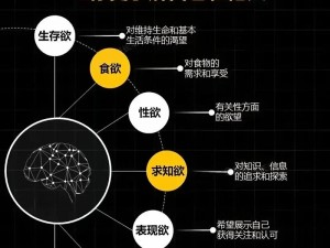 不归路 115 节小说：一场人性与欲望的挣扎免费阅读