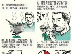 末日求生实战指南：策略规划与关键生存技能详解攻略