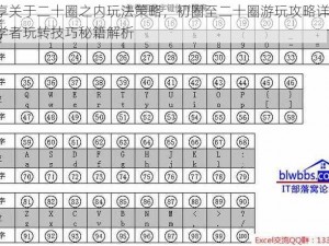 分享关于二十圈之内玩法策略，初圈至二十圈游玩攻略详解，初学者玩转技巧秘籍解析