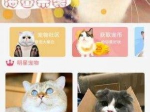 体验流畅，功能丰富——猫 310 版本官方最新版本更新