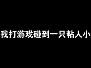 单身狗游戏第三关攻略大全：揭秘通关秘籍，轻松跨越难关