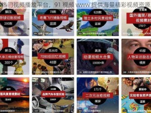 热门视频播放平台，91 视频 www 提供海量精彩视频资源