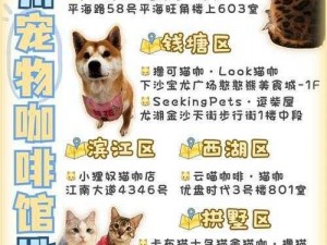 探索宠物之友：如何进入并享受宠物咖啡厅的乐趣