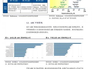 新型 ADC 年龄确定技术的产品介绍