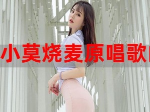 小莫烧麦原唱 dj，特色美食与动感音乐的完美结合，让你的味蕾和听觉一同享受