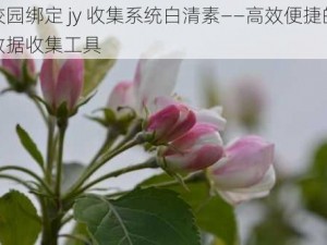 校园绑定 jy 收集系统白清素——高效便捷的数据收集工具