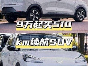 国产 SUV 精二区：爆款神车，引领未来出行