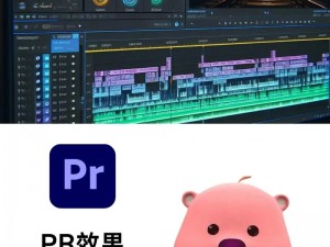 pr 九天狐狸是一款功能强大的视频剪辑软件