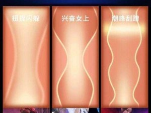 中文音声魅魔榨精寸止，专为男性设计的高端情趣用品