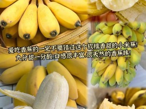 优质 99 热香蕉，香甜软糯，口感细腻，让你回味无穷