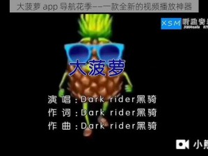 大菠萝 app 导航花季——一款全新的视频播放神器