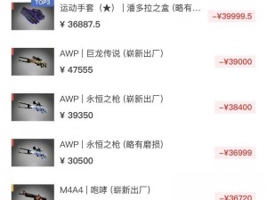 老外免费 csgo 交易网站，安全便捷的游戏饰品交易平台