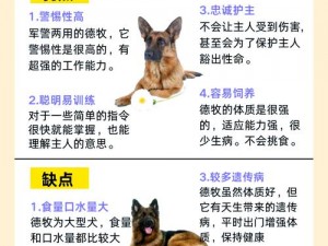 《全面解析：狗头世界安装与配置操作手册详解》