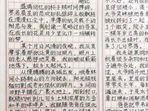 《您的宝藏全在悬空城背包系统：这里收藏了所有宝贝》