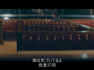 最新日本 MV 免费观看，优质内容汇聚，带你领略日本音乐魅力