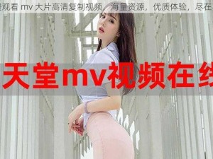 免费观看 mv 大片高清复制视频，海量资源，优质体验，尽在其中