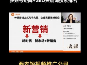 SEO 短视频网页入口网站推广内容分段式更新，助你提升网站排名和流量