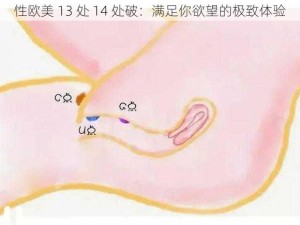 性欧美 13 处 14 处破：满足你欲望的极致体验