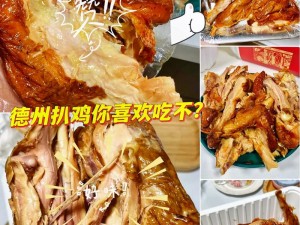 食物语新手宝典：德州扒鸡解析与前期培养策略详解——御德州扒鸡首选之选