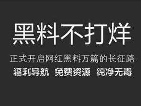 万篇长征黑料不打烊，深度揭秘真相的宝藏产品