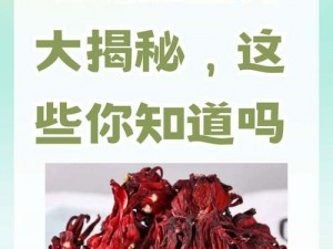 创造魔法玫瑰茄的采摘秘籍与玫瑰茄功能深度解析：探索神奇的天然疗效