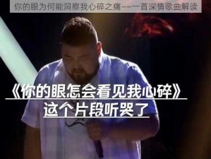 你的眼为何能洞察我心碎之痛——一首深情歌曲解读