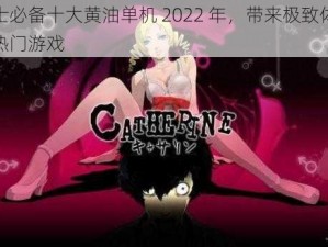 绅士必备十大黄油单机 2022 年，带来极致体验的热门游戏