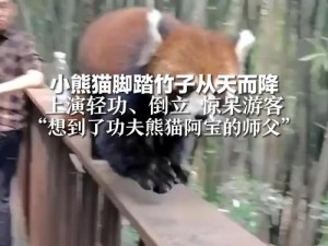 功夫熊猫3手游：师父帽子三分归元详解与特色解析