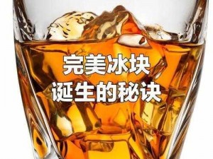 双龙入 X 装冰块，时尚与实用的完美结合