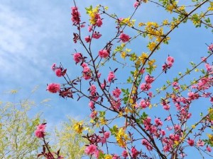 头埋在我花丛里，感受大自然的芬芳