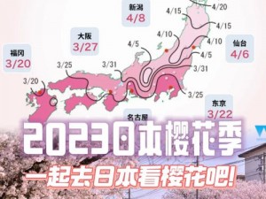 樱花官方正版官网入口 2023 - 提供正版樱花系列产品，品质保证