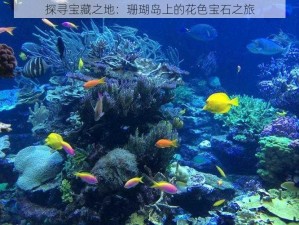 探寻宝藏之地：珊瑚岛上的花色宝石之旅