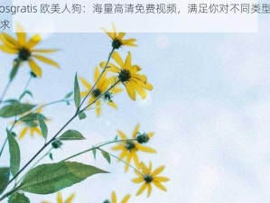 videosgratis 欧美人狗：海量高清免费视频，满足你对不同类型的观看需求