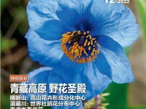 野花社区视频在线，免费观看高清无码影片，内容丰富多样，满足你的不同需求