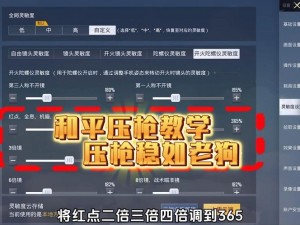 和平精英搭配攻略：实战解析最佳武器组合策略，提升射击战斗力