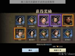 真三国无双霸新手武将选择推荐