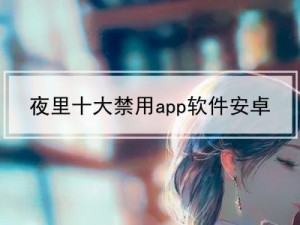 夜里 B 站十大禁用 APP 软件，是一款为用户提供安全网络环境的工具