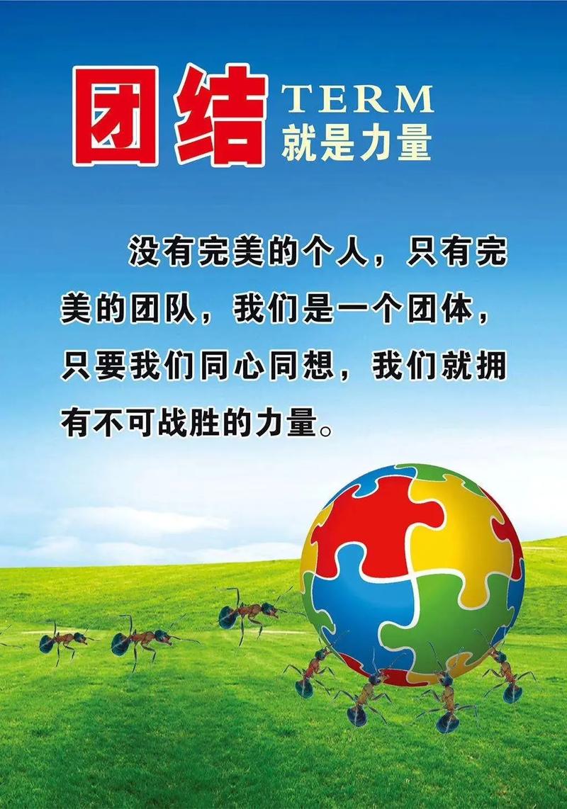 关于队伍稳定状态：一支队伍的稳健成长与凝聚力量塑造坚实基石