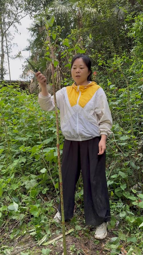 回到妈妈的桃花源，寻找儿时的美味记忆