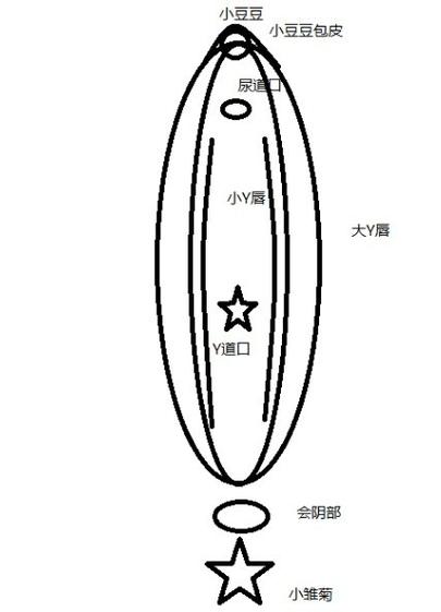 想知道 3 是不是欠 C 很久了 H？试试这款产品就知道了