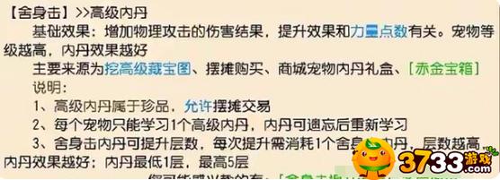 梦幻西游手游：血耐宝宝内丹搭配攻略，探索最佳战斗配置培育指南