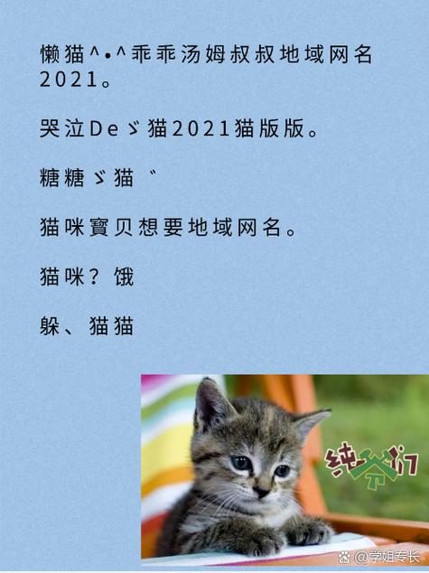 新版猫咪地域网名——连接你我，跨越地域的猫咪交流平台