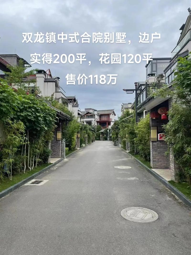 双龙入户的视频：介绍高端别墅必备，彰显豪华与品味