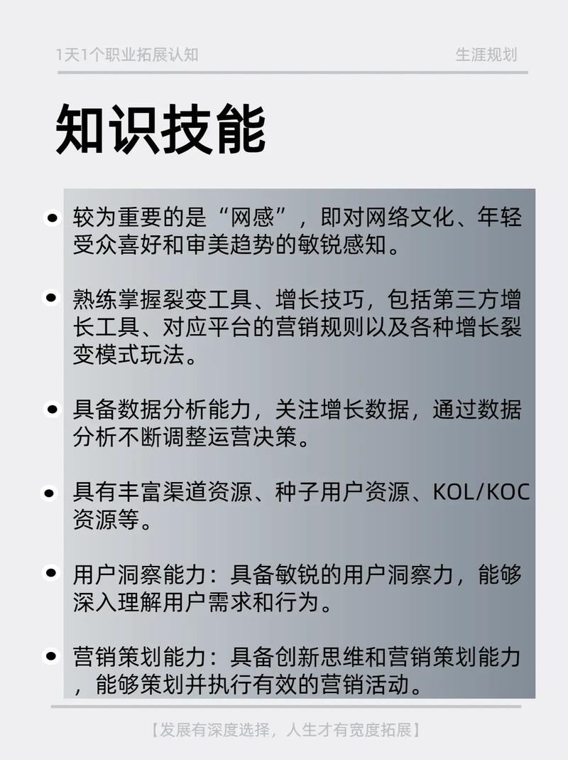 太极熊猫2职业优劣势选择分析：全面解析各职业特点与选择策略