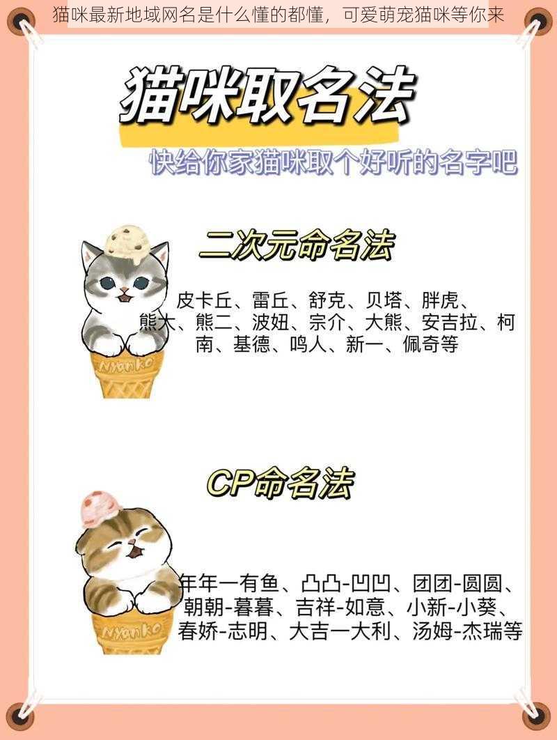 猫咪最新地域网名是什么懂的都懂，可爱萌宠猫咪等你来