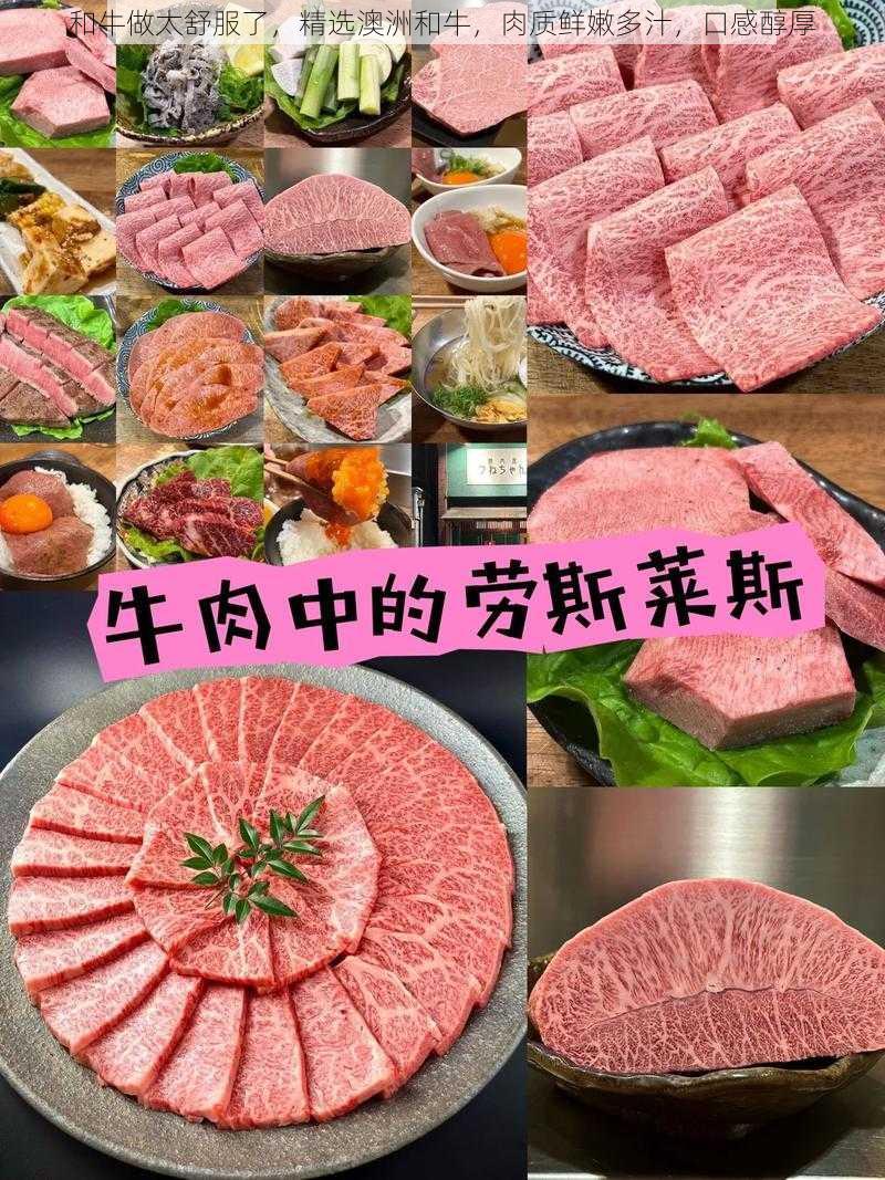 和牛做太舒服了，精选澳洲和牛，肉质鲜嫩多汁，口感醇厚